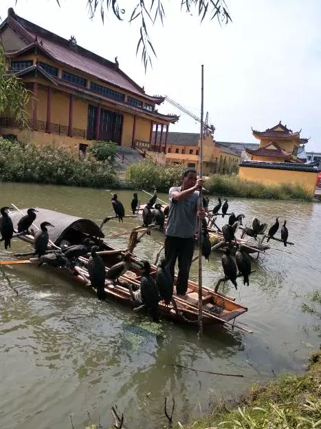 马家荡水乡民俗游览区图片