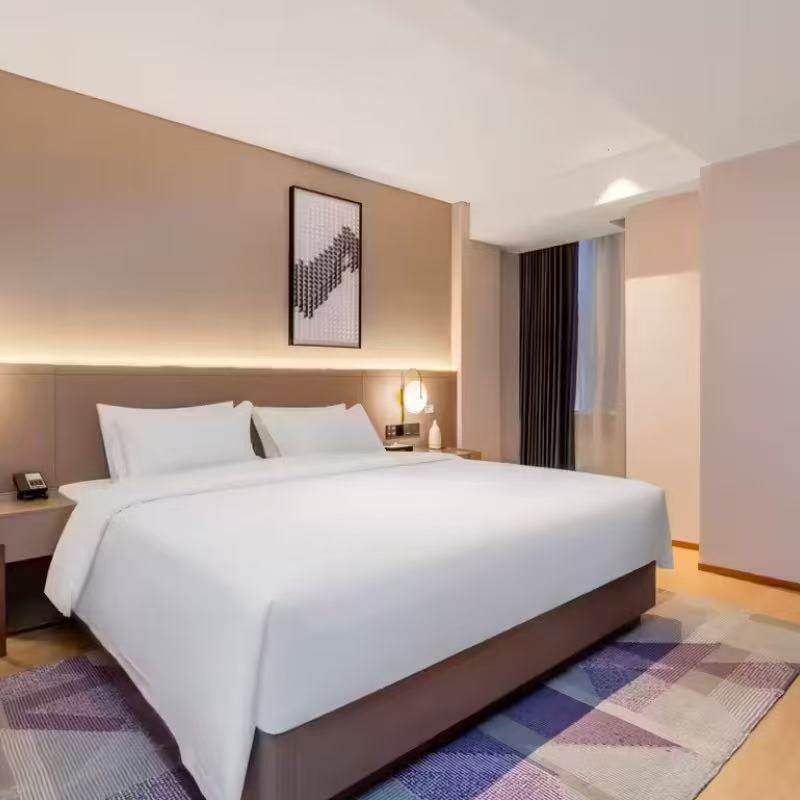 2天1晚丽枫酒店哈尔滨阿城百货大楼金城商业街店哈尔滨宣化街南岗区政府店可选其他酒店