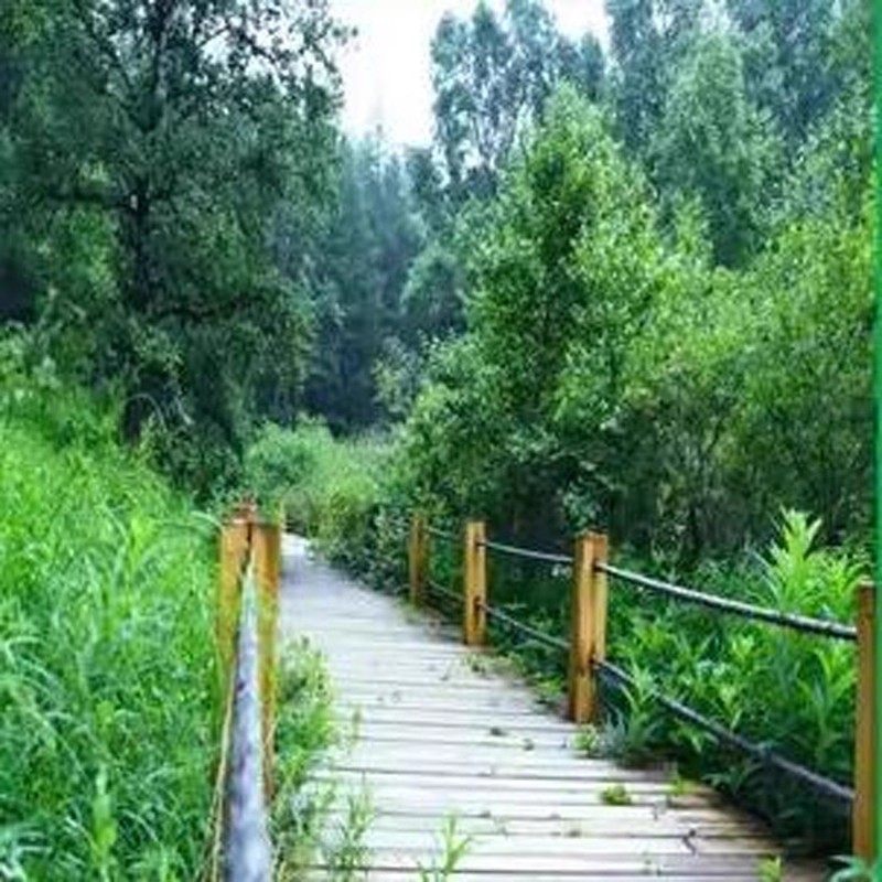 5天4晚 崇礼自由行+草原天路 可定其他酒店