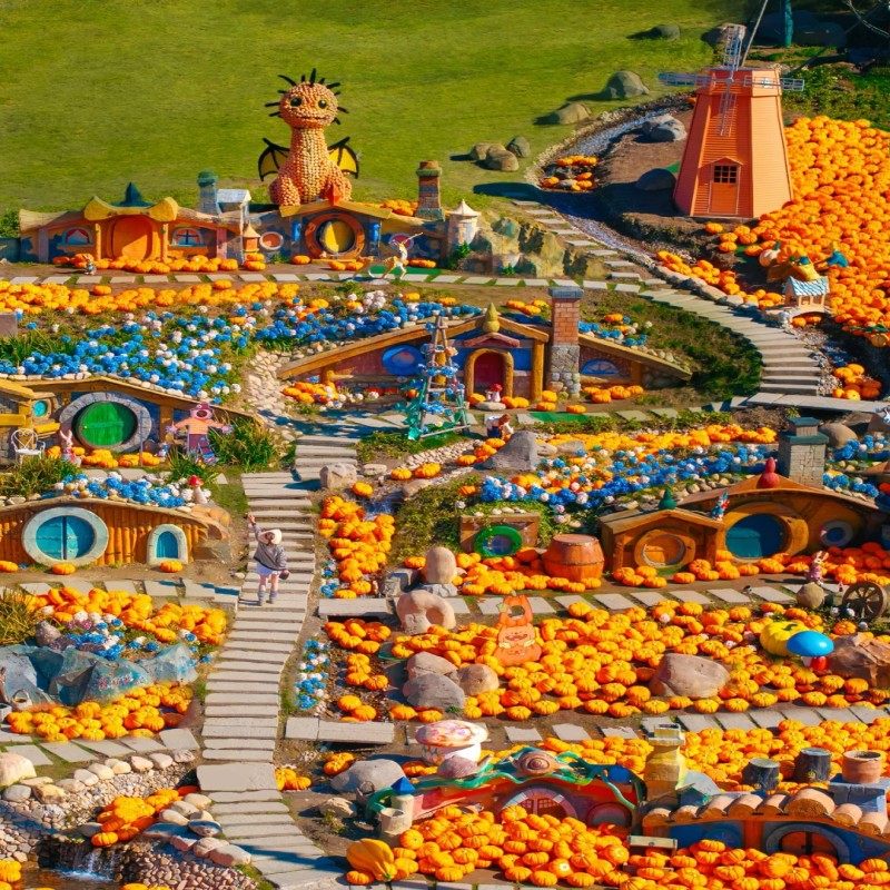 君澜·安吉老庄山居度假酒店3天2晚+云上草原成人门票+早餐