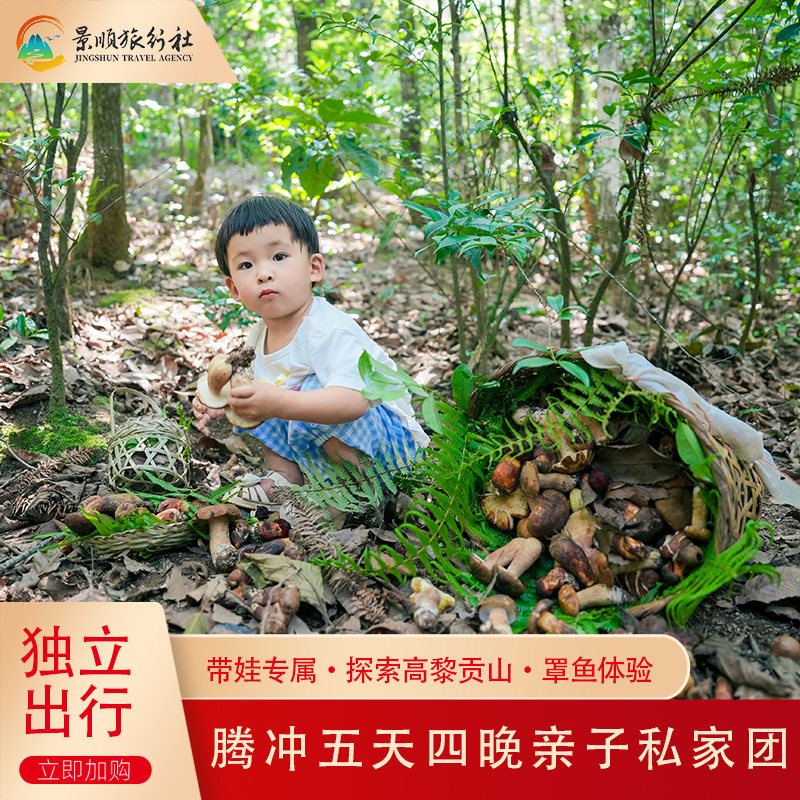 腾冲亲子5天4晚游高黎贡山轻徒步捡菌非遗美食温泉亲子房古镇民宿 - 定制游预订