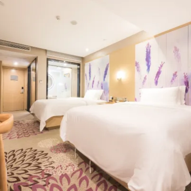 D1天1晚河源麗枫酒店河源万隆城店自由行+河源市河源恐龙文博园门票单人酒景套餐