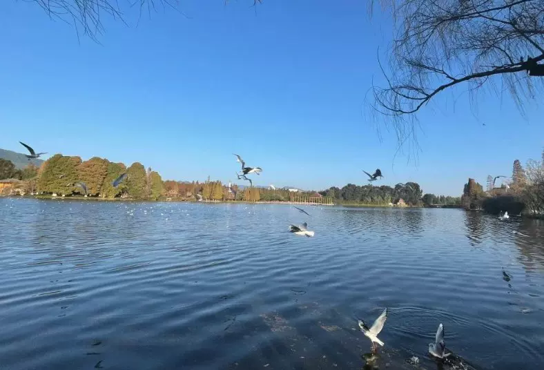 云南滇池温泉花园图片