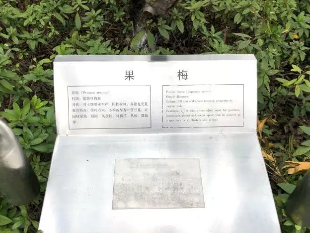 盲人植物园图片