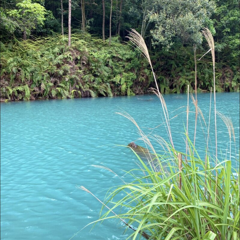 莆田九龙谷森林公园一日游【自由畅玩+上门接送+私家团不拼人】