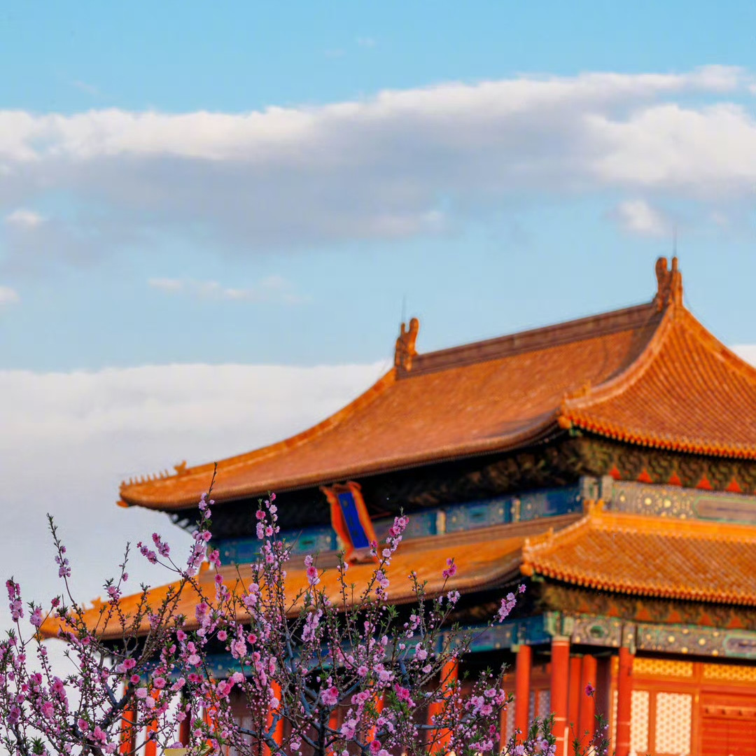 北京故宫博物院+升旗仪式 可五环内接人工导游讲解跟团深度游