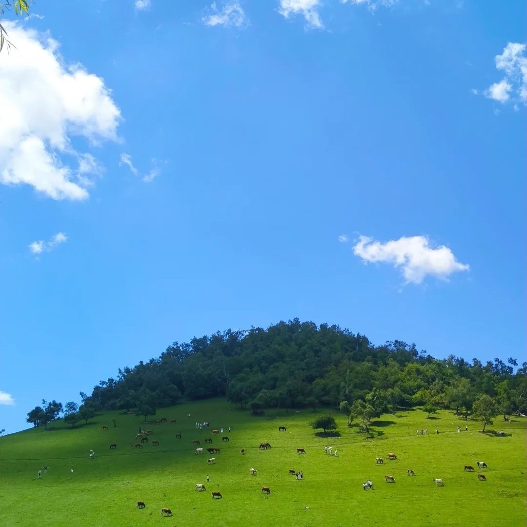 陇县关山假日酒店住宿+关山草原成人门票