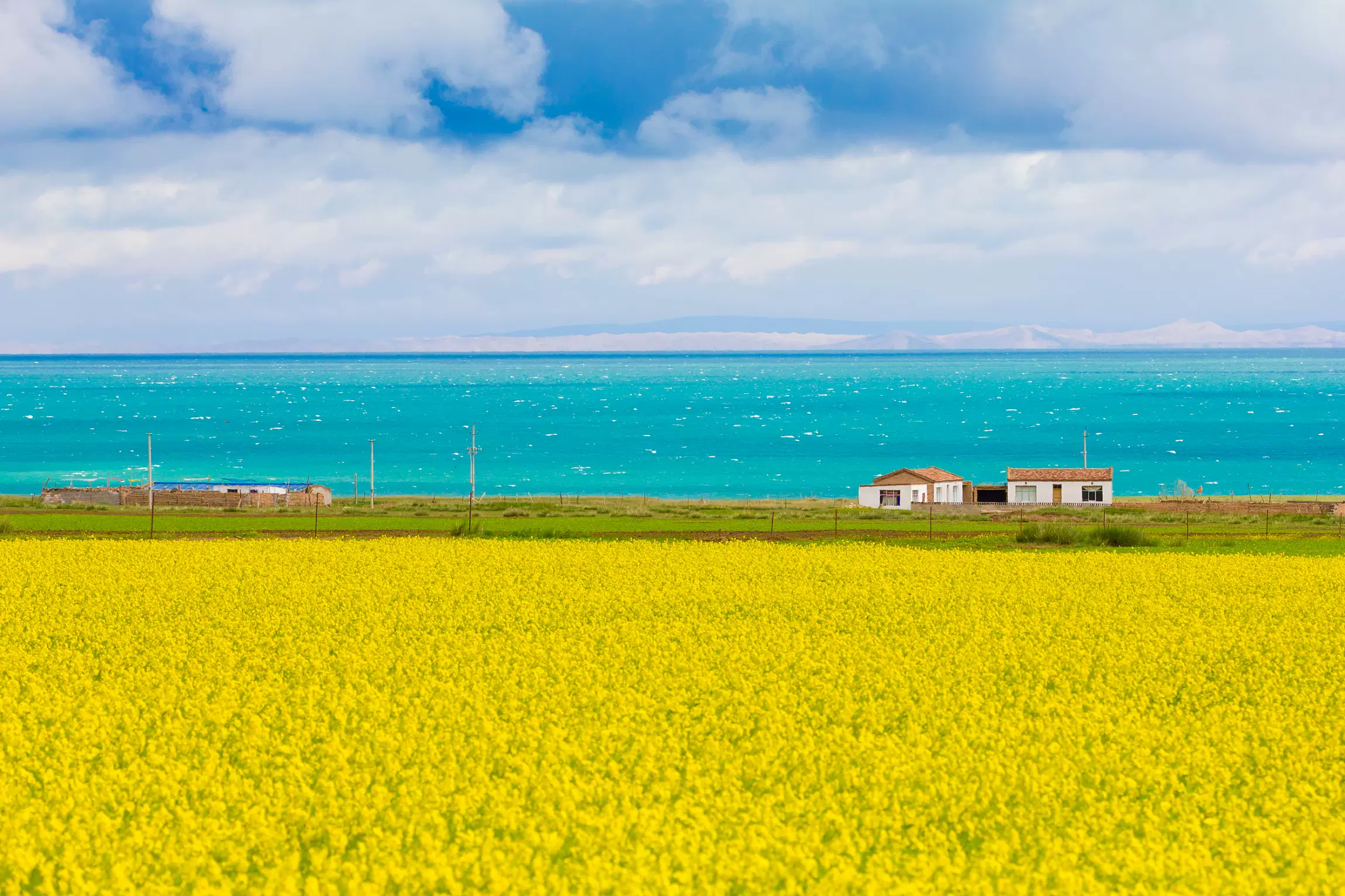 青海湖