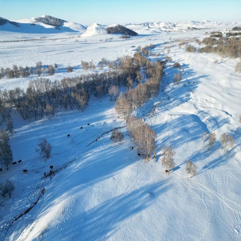 赤峰乌兰布统自由行2天1晚 喆啡酒店(乌兰布统景区店)+鄂温克门票