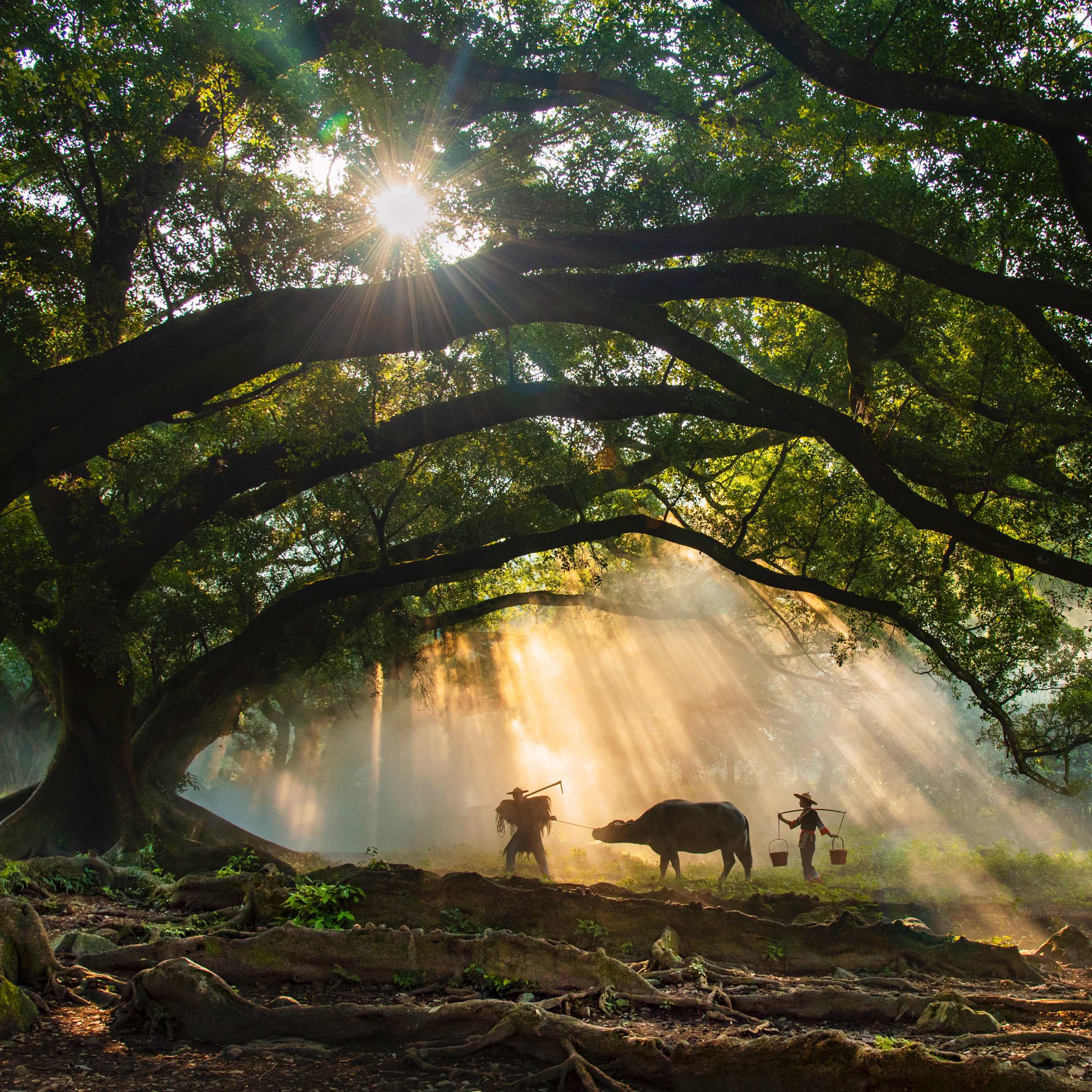 福建霞浦旅游摄影北岐滩涂+杨家溪+小皓+东壁一日游2人起天天发团 - 定制游预订