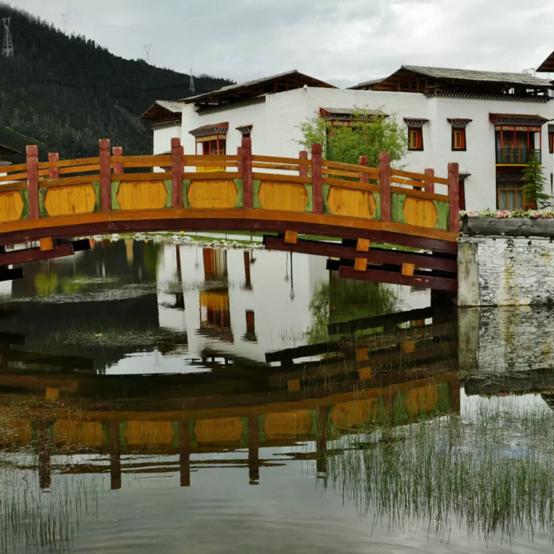 鲁朗国际旅游小镇图片