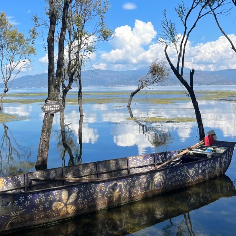 【乐享】大理古城漫心府心梦尊享家庭房三天两晚+洱海