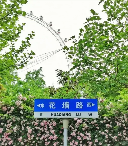 花墙路图片