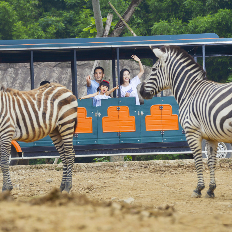 富阳曙光薇酒店双人野生动物世界森泊水乐园宋城千古情