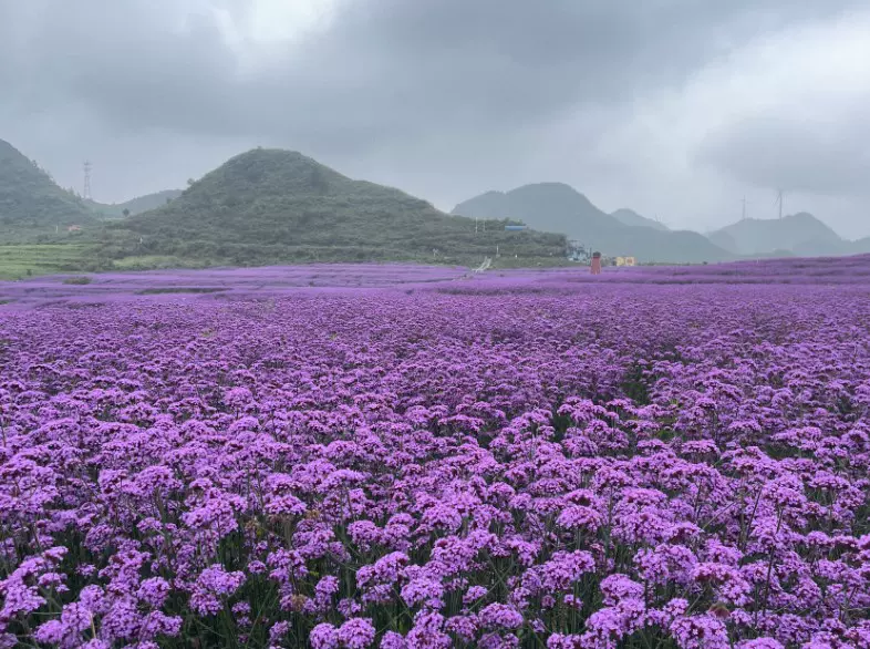 石门锦绣田园景区图片