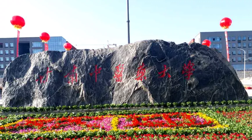 甘肃中医药大学(和平校区)图片