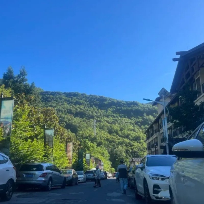 2天1晚神农架南山书苑酒店公寓1晚 +神农架中和滑雪&神龙架国际滑雪场