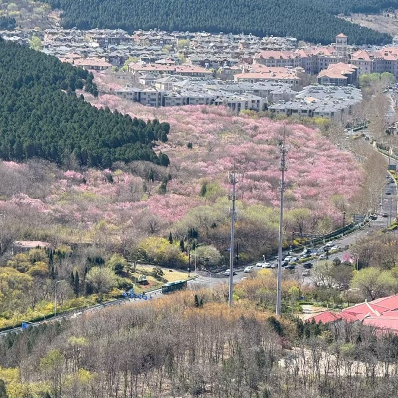 【山东2天1晚】济南银丰华美达酒店+千佛山景区