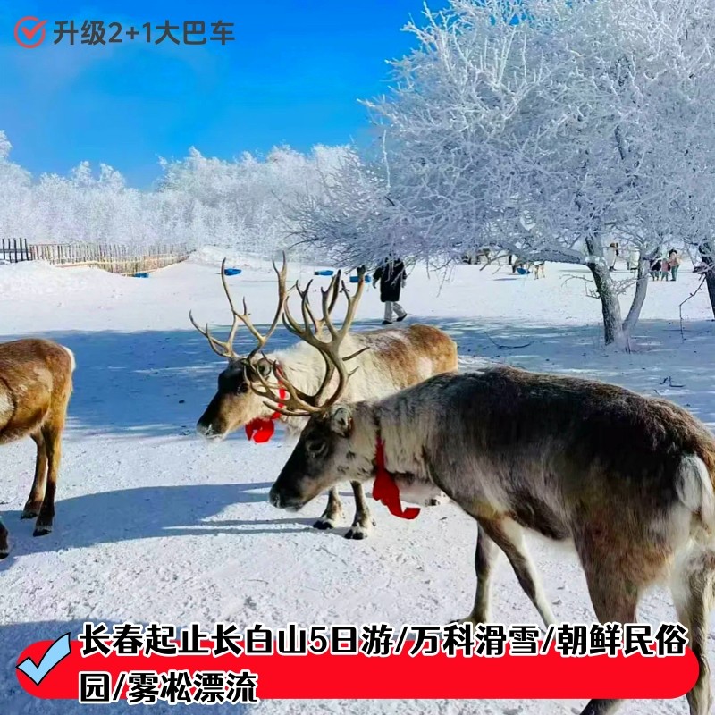 长春起止长白山5日游/万科滑雪3小时/雾凇漂流/朝鲜民俗园/弹幕墙 - 定制游预订