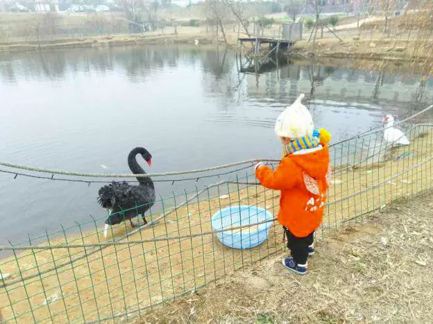 中信证券培训中心温泉图片