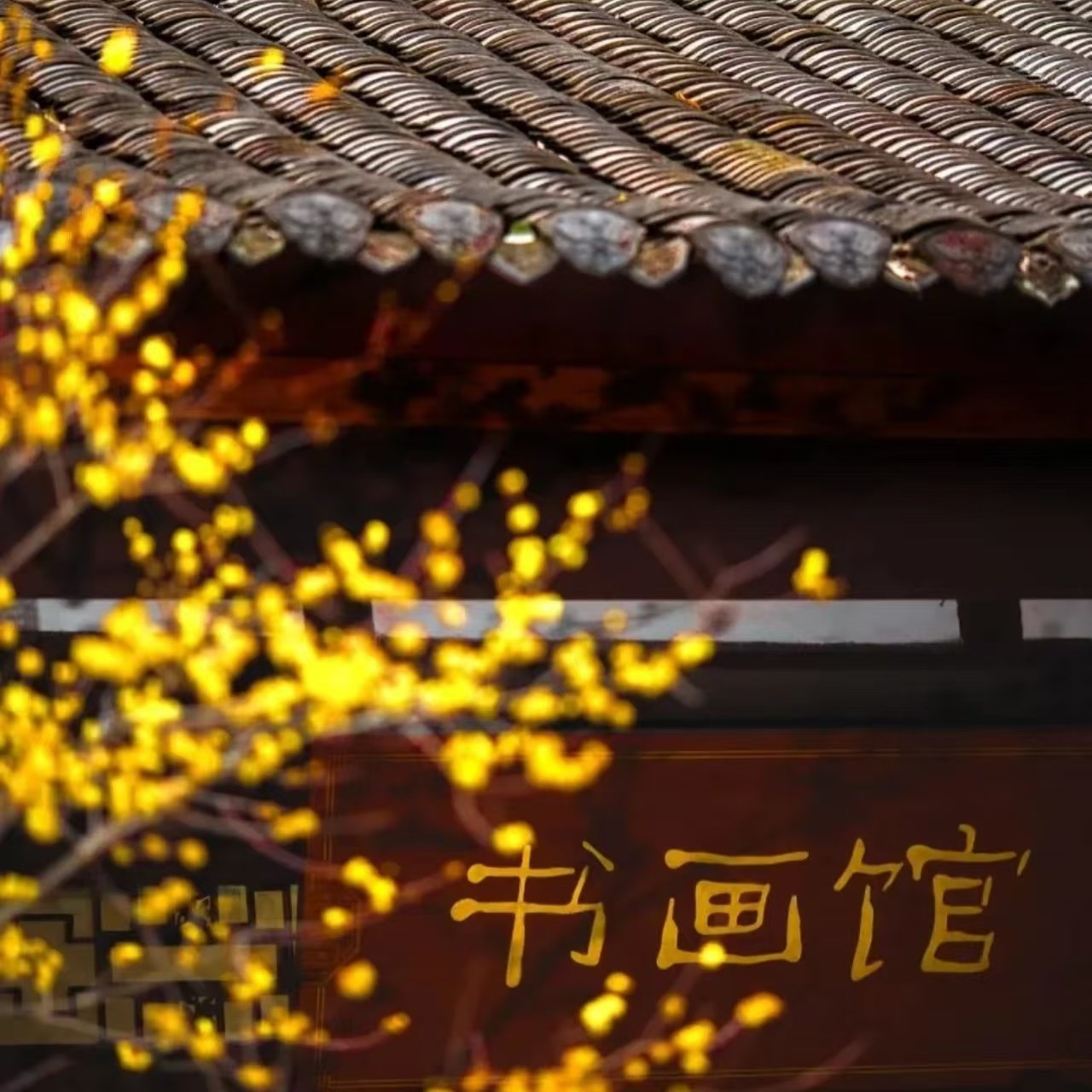 杜甫草堂武侯祠熊猫谷一日游私家团含门票独立出行三环接送纯玩 - 定制游预订