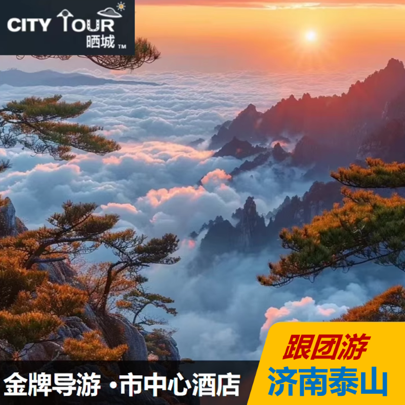 山东旅游济南泰山2天1晚二日跟团游趵突泉大明湖山东博物馆纯玩 - 定制游预订
