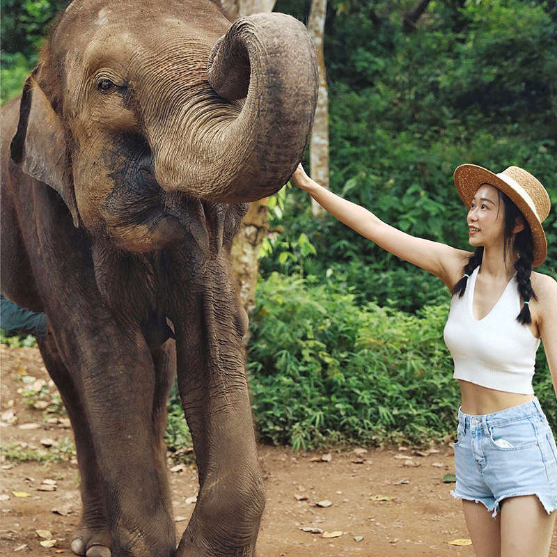 【双人酒景套餐】高档型陌莲酒店2晚含早+西双版纳多景点直通车三选一 二次