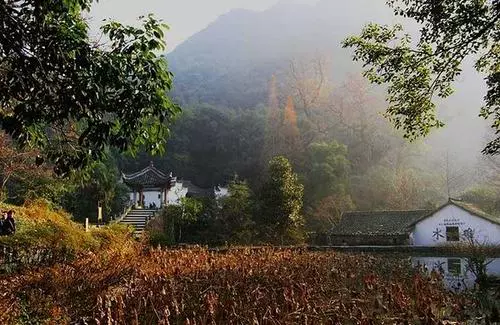 武义郭洞古生态村图片