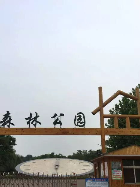 滦州市森林公园图片