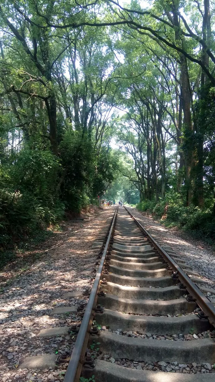 韶关最美铁路图片