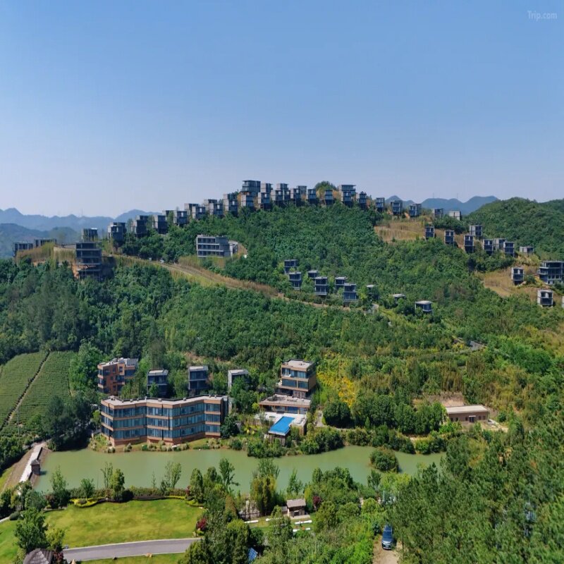 莫干山都喜天丽度假酒店1-2晚+早餐+双人围炉煮茶/按摩/茶园tu步+草坪游戏+欢迎水果