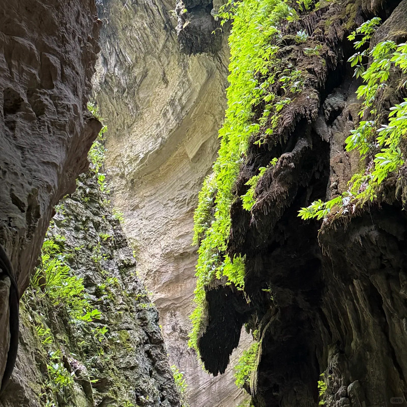 【双人套餐】 金刀峡两江假日酒店2天1晚+金刀峡+双早【仅限外地】