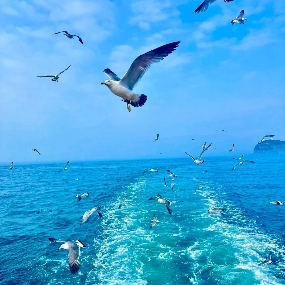 乔治莫兰迪酒店(威海火炬八街国际海水浴场店)住宿+刘公岛成人票