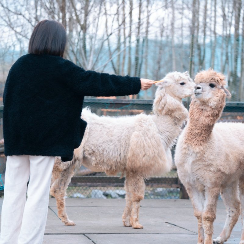 齐云山自由家2天1晚多房型套餐 含齐云山门票 赠送多重体验