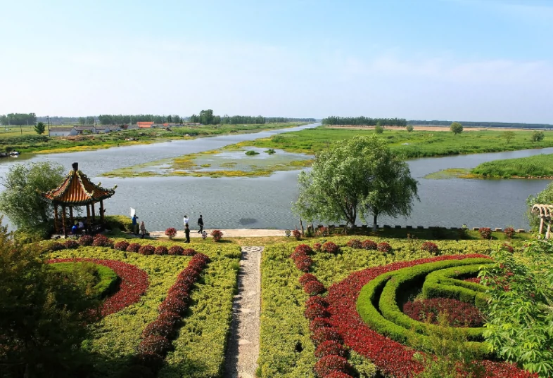 缤纷花海图片