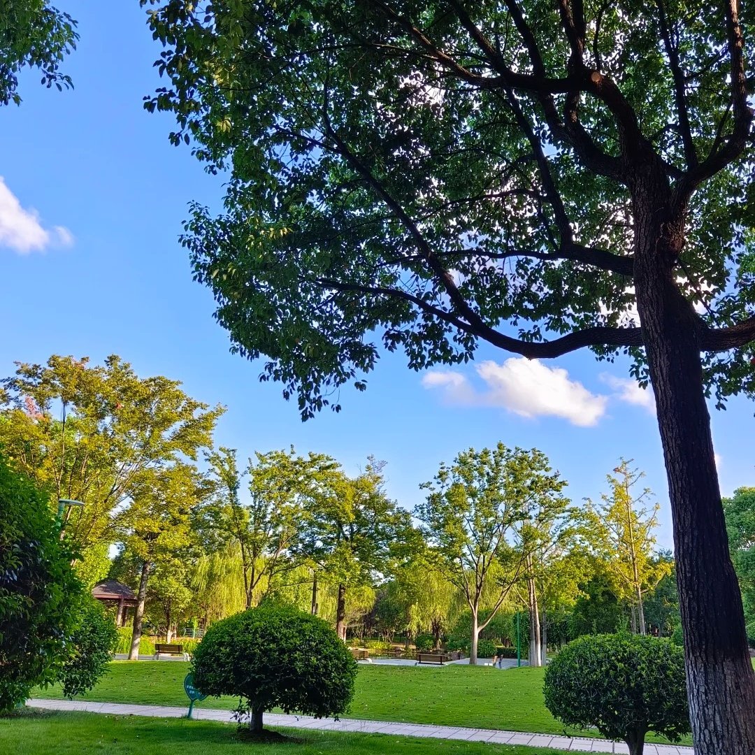 曲阜东方儒家花园酒店(三孔景区店)住宿+曲阜三孔景区成人门票