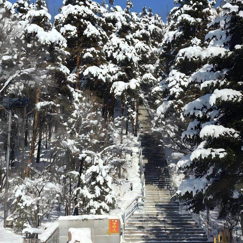 哈尔滨JW万豪酒店住宿+哈尔滨极地公园成人票