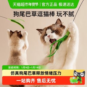 Dog tail grass teasing cat stick long pole biting cat toy self -relief hand holding cat toy, cat toy kitten cat artifact
