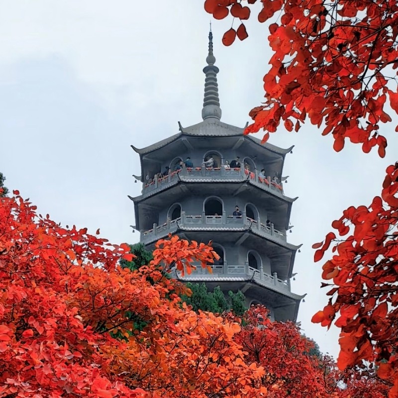 【乐享】济南乔治莫兰迪酒店亲子套房两天一晚+趵突泉