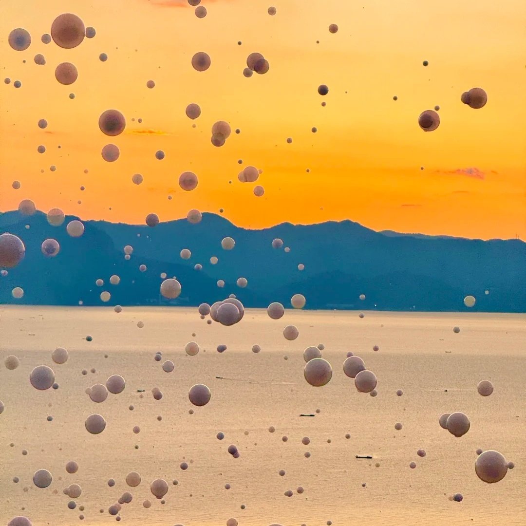 龙湖宿清假日酒店(抚仙湖星空度假区)住宿+抚仙湖国际马戏大剧院成人门票 - 定制游预订