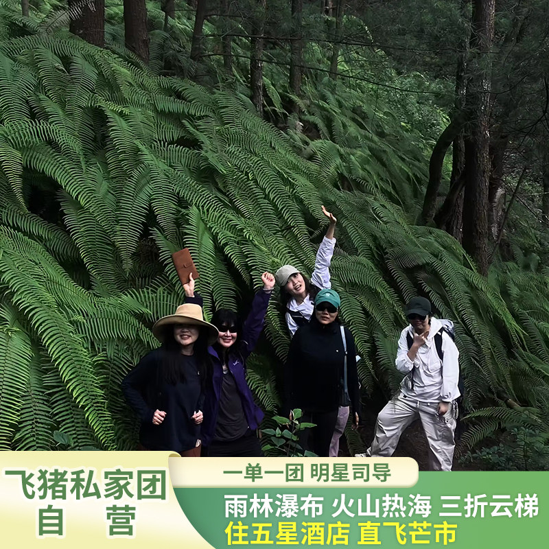 云南旅游纯玩私家团•含机票•腾冲芒市瑞丽住5星酒店7天6晚 - 定制游预订