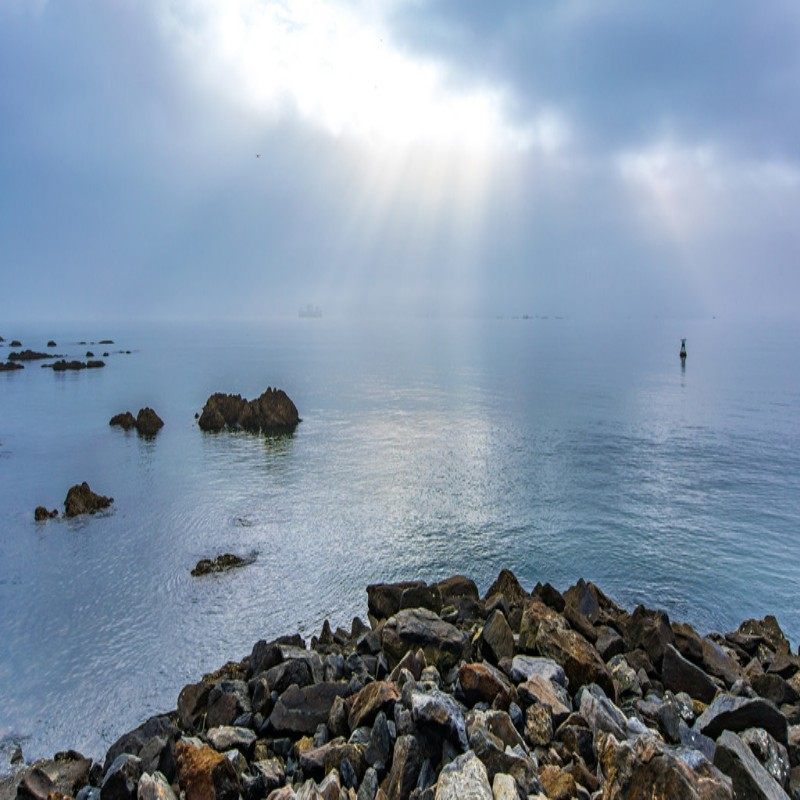 【元旦春节假期可订】山东烟台自由行 烟台金海岸希尔顿酒店 3天2晚 可选酒店+门票