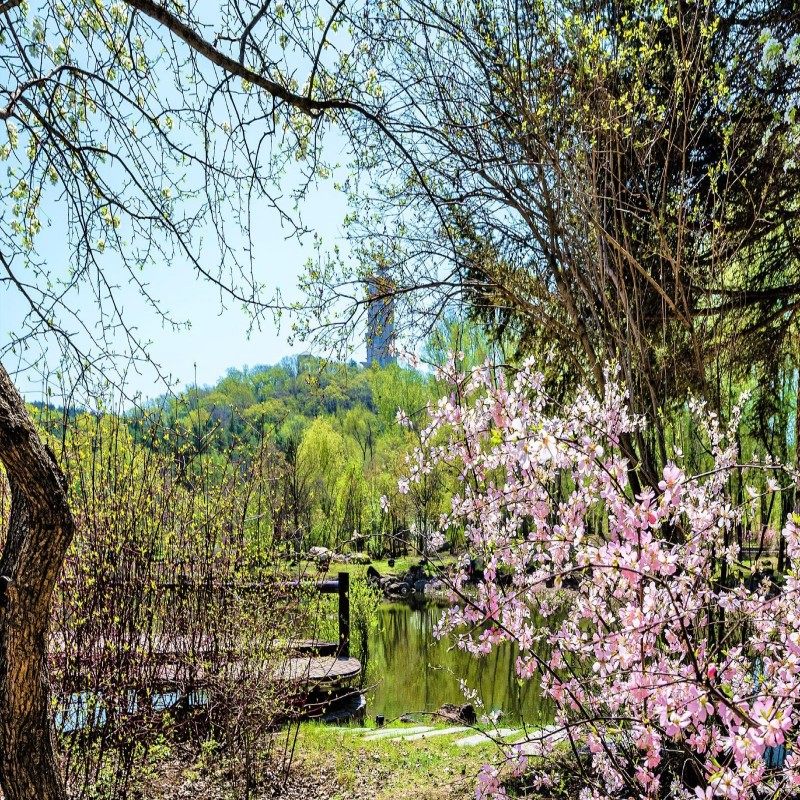 【元旦春节假期可定】长春自由行 长春金安大饭店+门票 3天2晚可选酒店