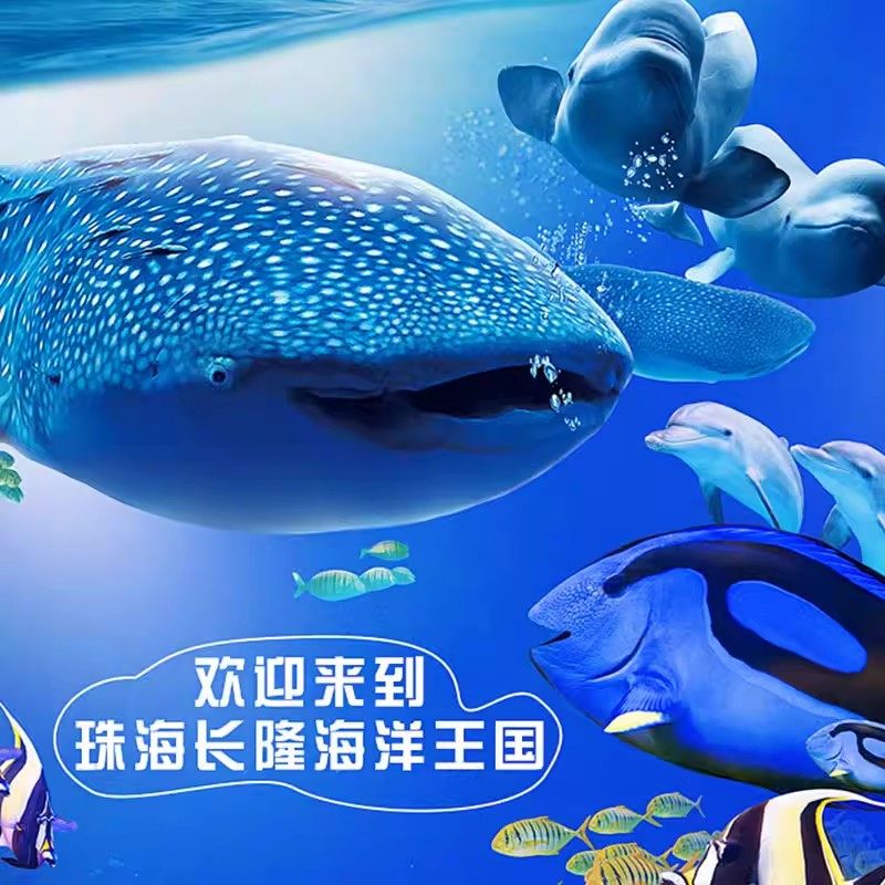 【周年特惠】珠海长隆企鹅/横琴湾/飞船酒店2天1晚海洋王国/飞船+长隆秀