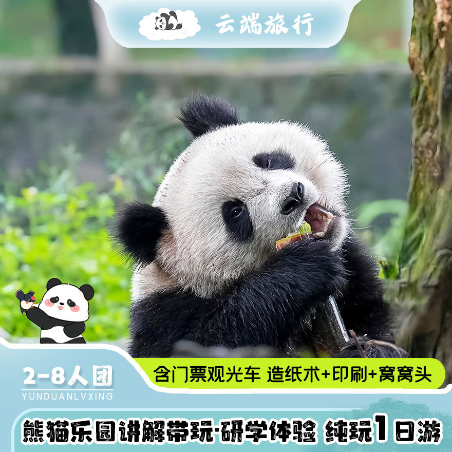 2-8人团熊猫乐园+熊猫小匠研学活动纯玩一日游 门票全含 - 定制游预订