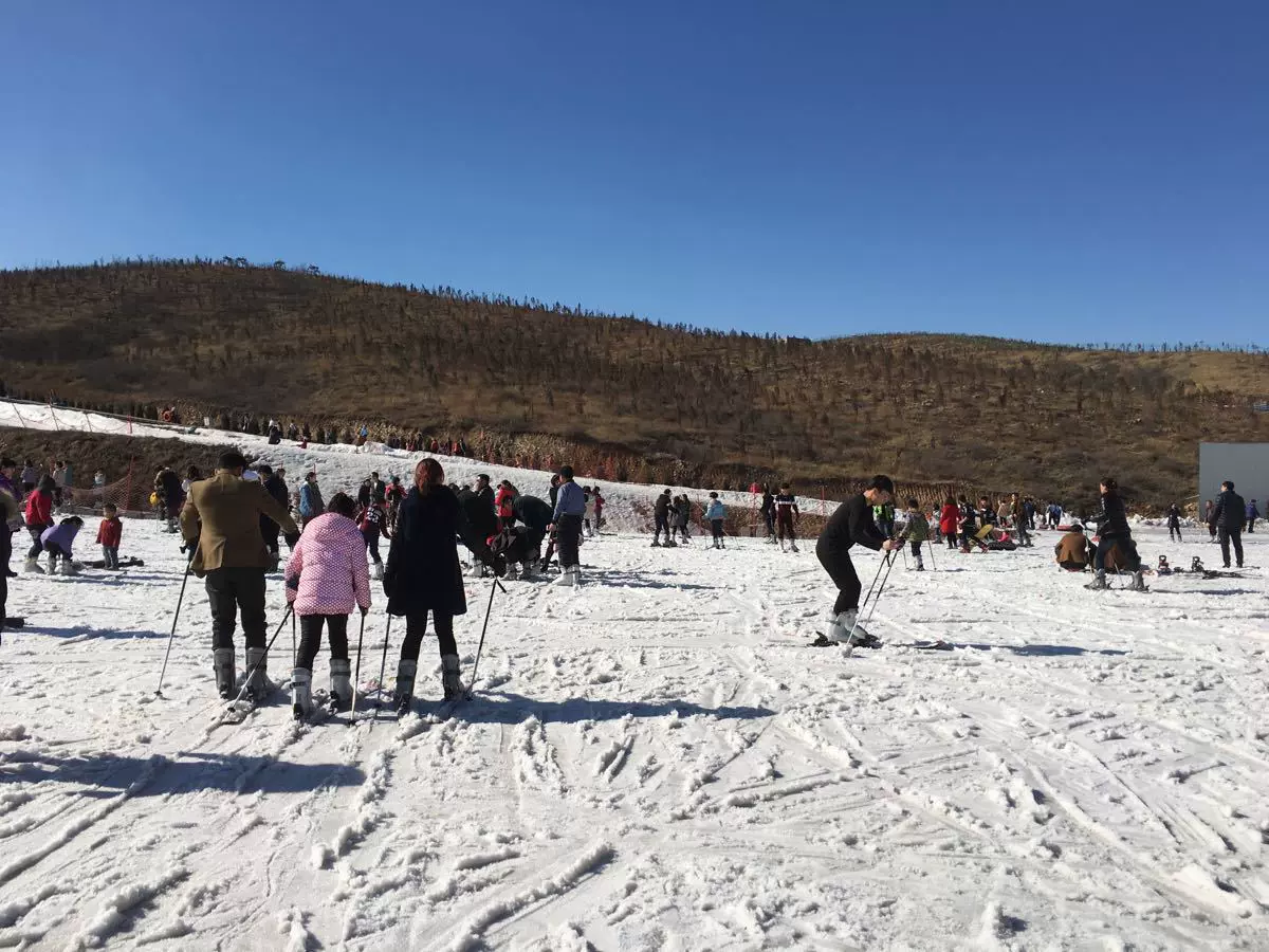 青青冰雪乐园图片