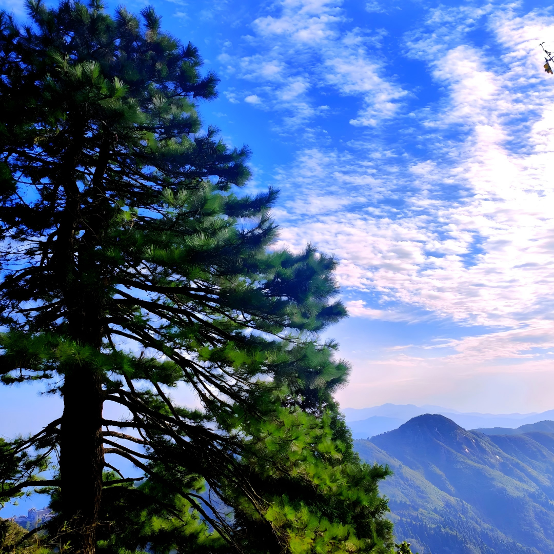 南岳衡山景区酒店1晚住宿+衡山景区+南岳大庙成人票1张