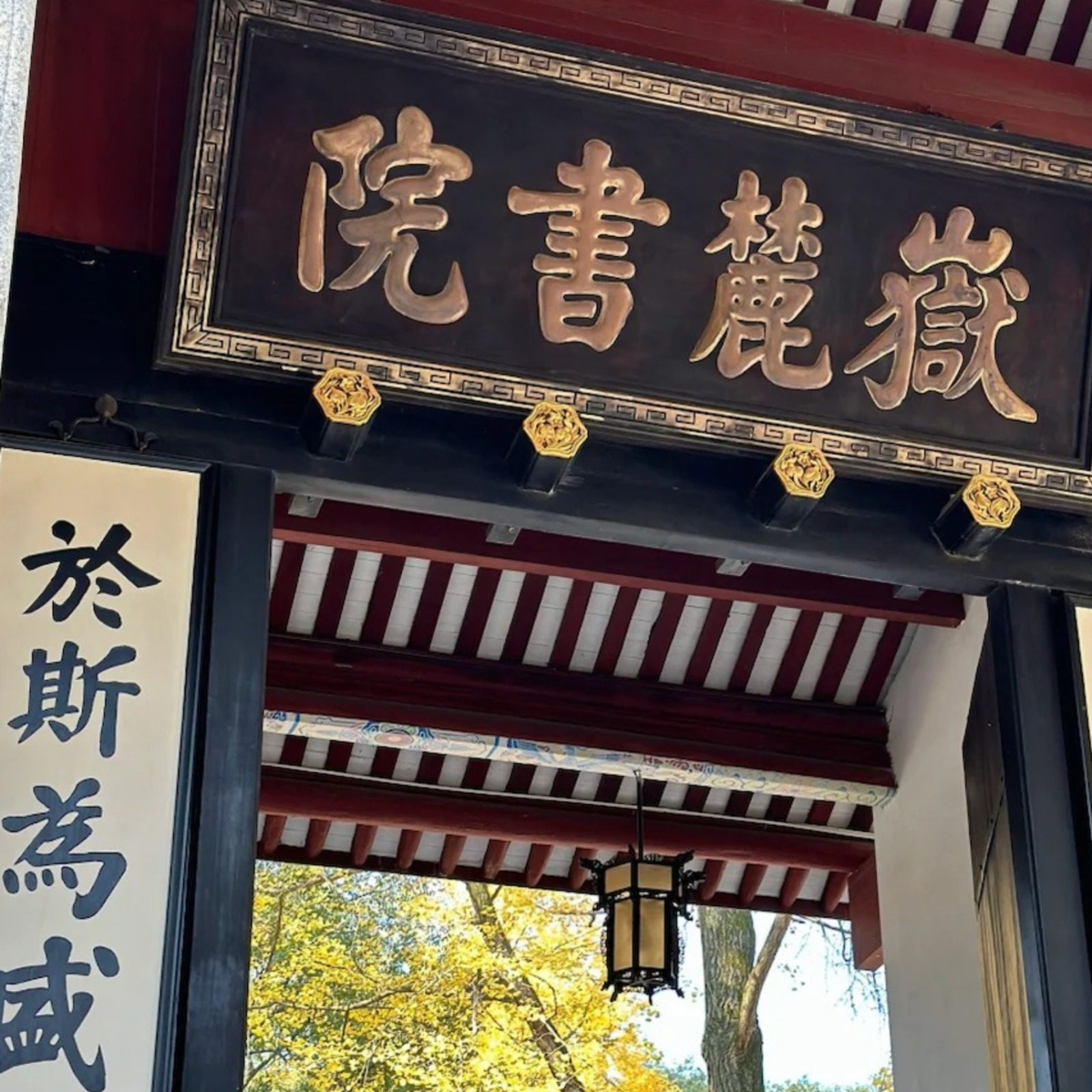 岳麓书院门票+金牌人工讲解+橘洲之星橘洲日游(含观光车) - 定制游预订