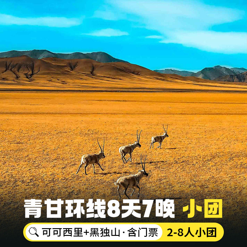 含门票青海旅游8天7晚可可西里黑独山敦煌西北青甘大环线跟团游 - 定制游预订