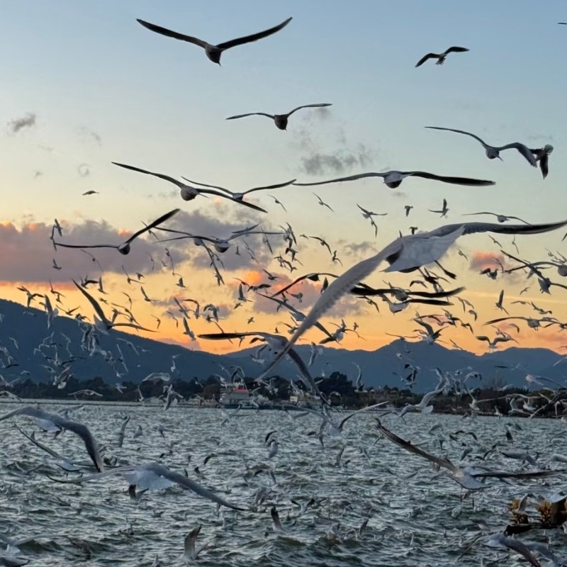 【畅享】昆明泊月酒店湖光三色大床房两天一晚+石林 - 定制游预订